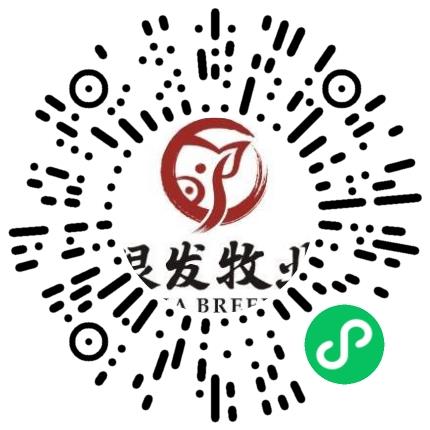 河南银发牧业有限公司管培生扫码投递简历