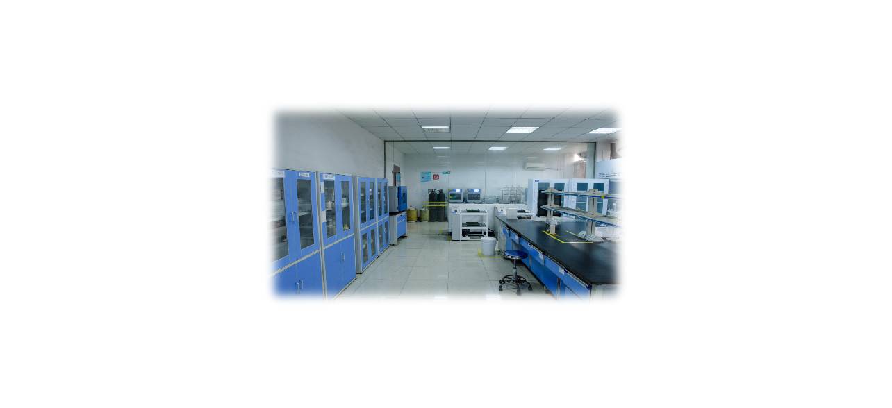 公司展示