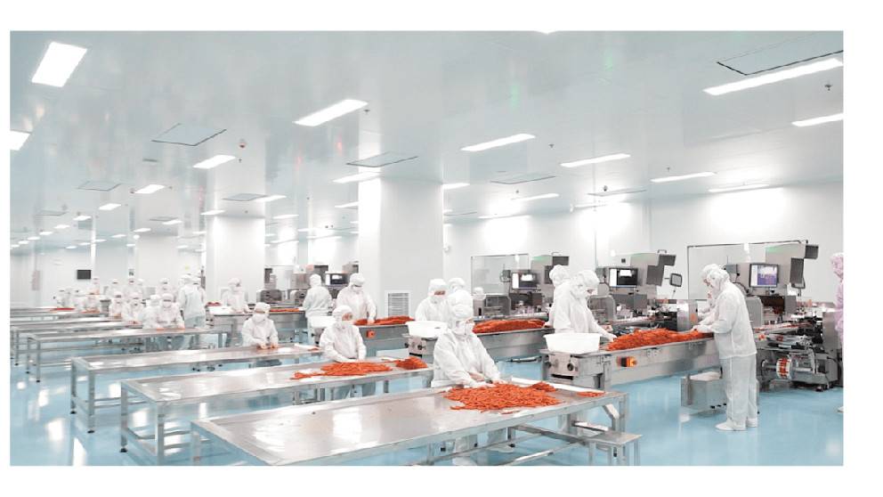 食品加工冷冻冷藏方案