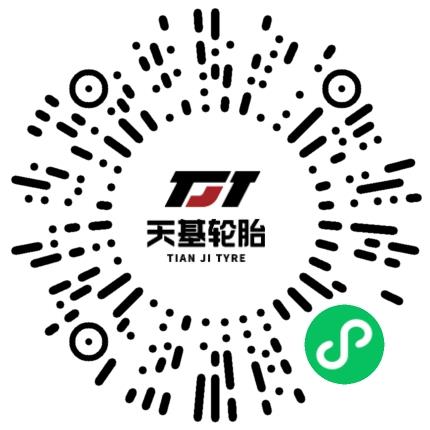 河南天基轮胎有限公司外贸/贸易经理/主管扫码投递简历