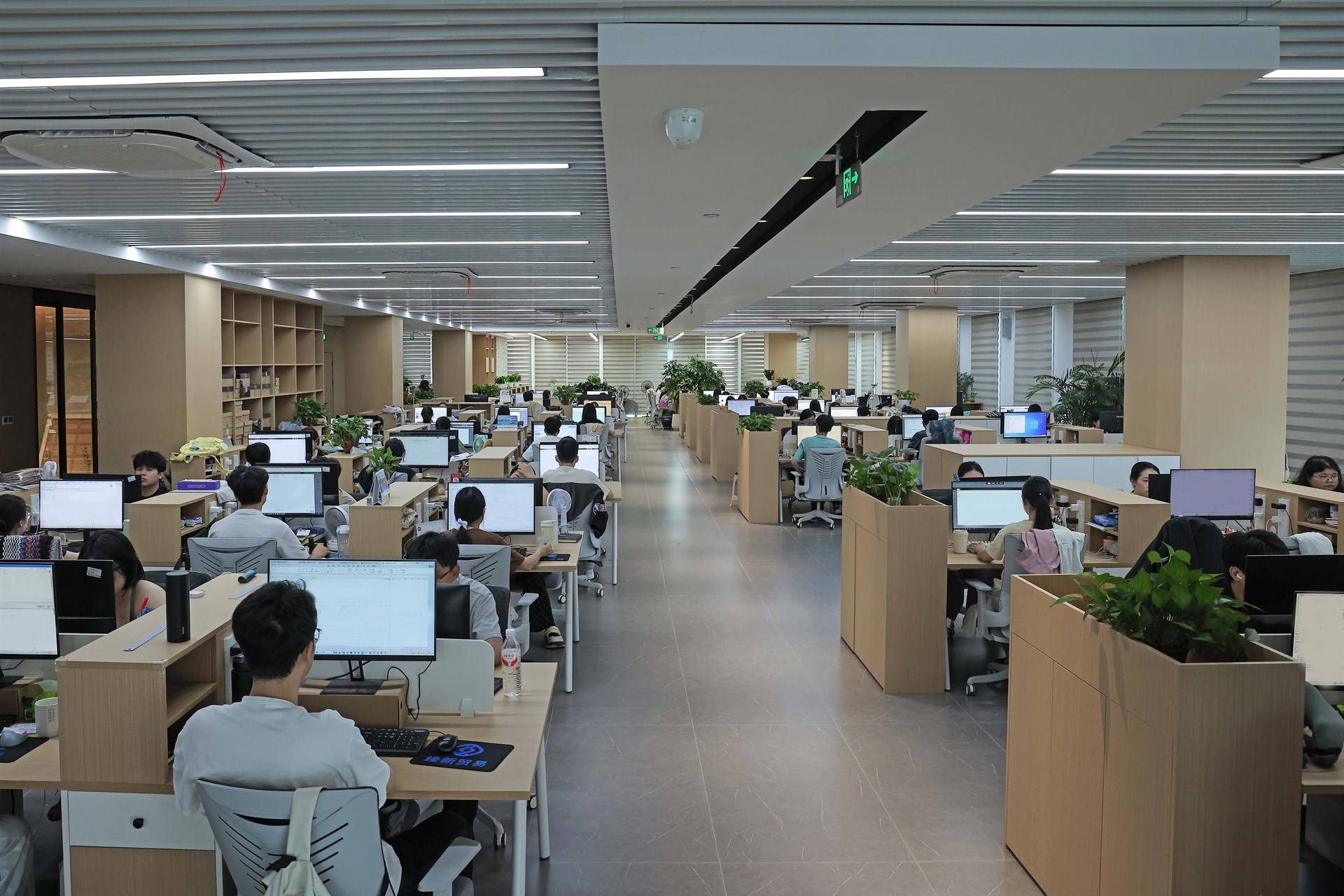 公司展示