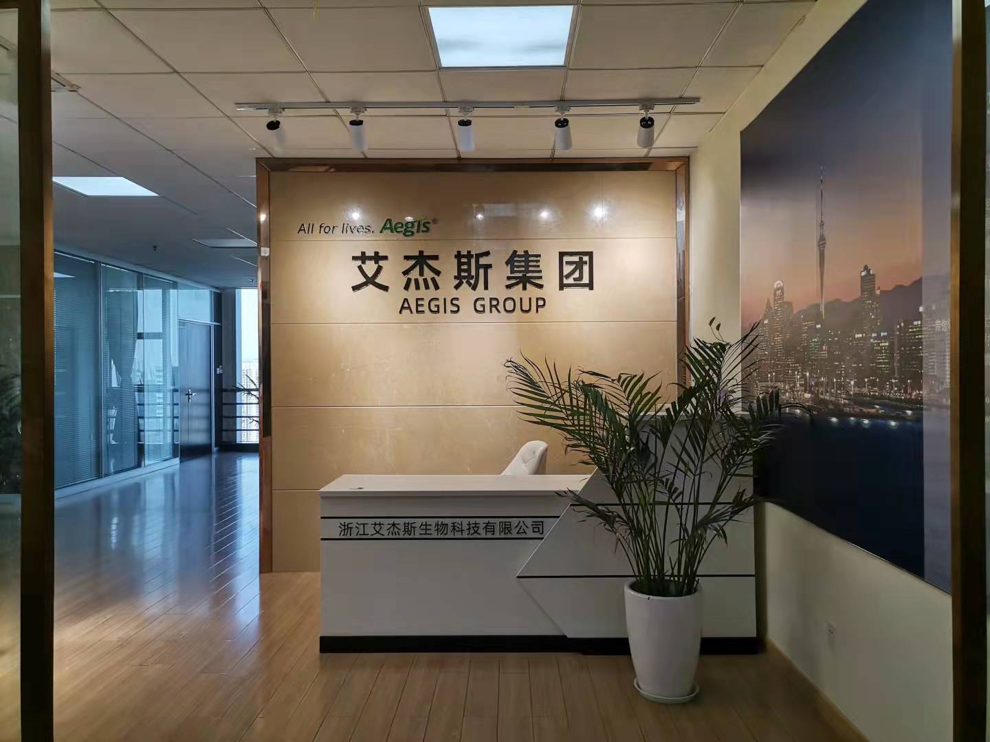 公司展示