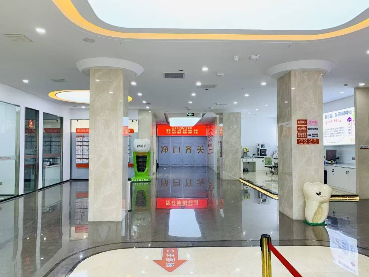 公司展示