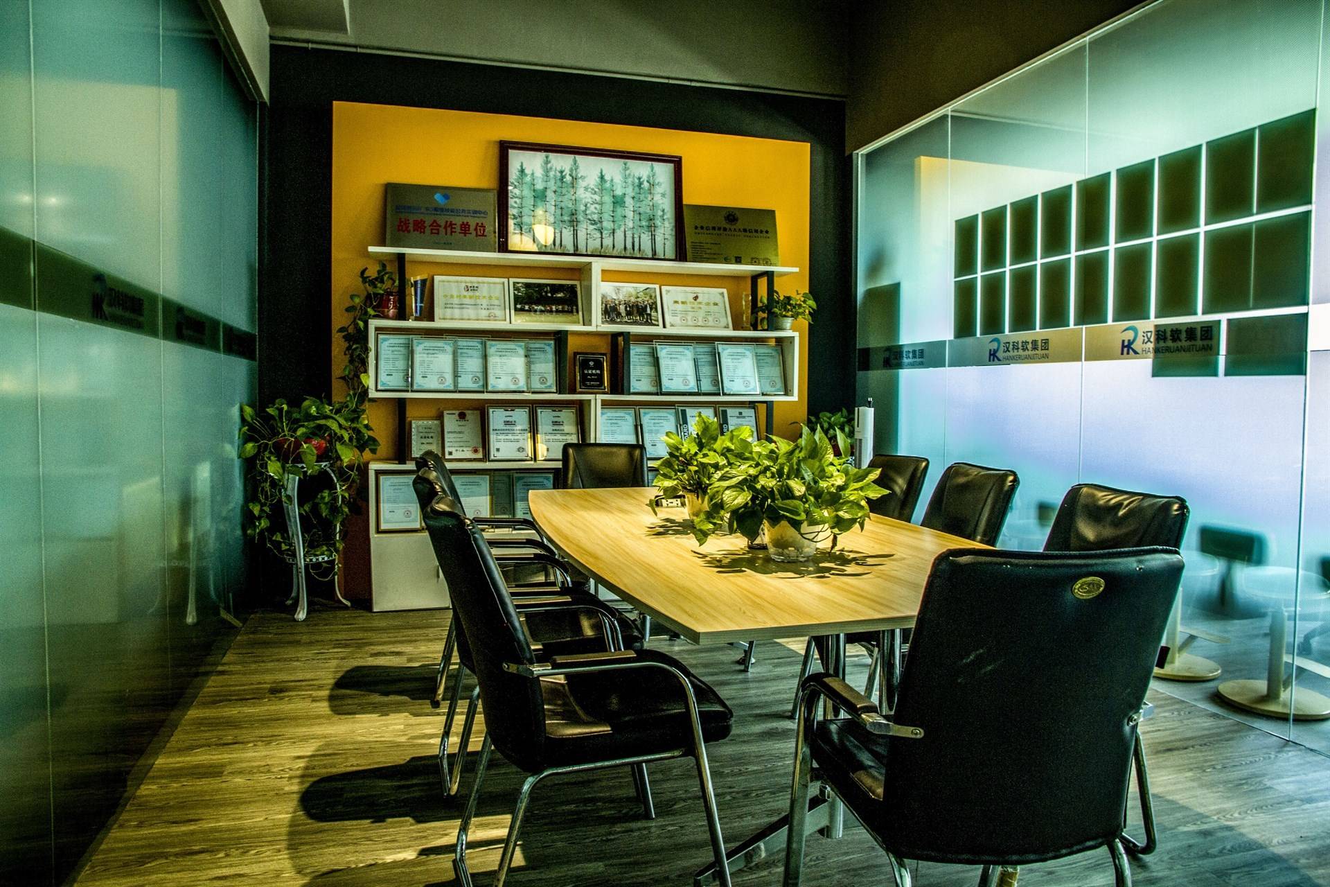 公司展示