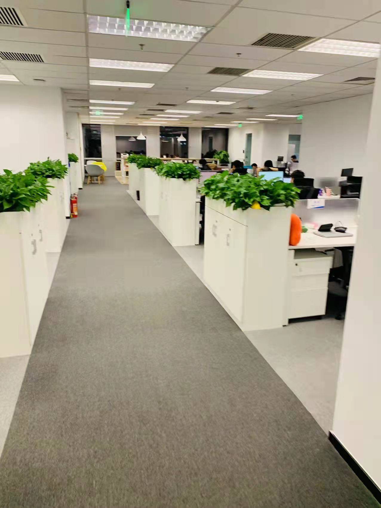 公司展示