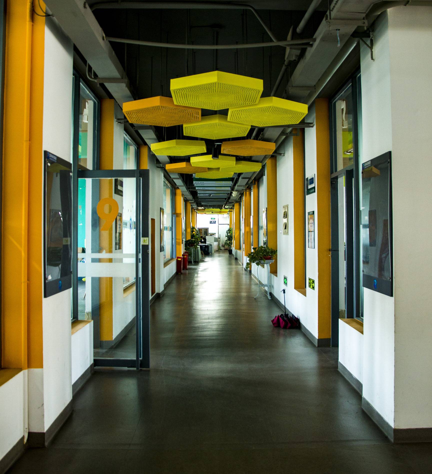 公司展示