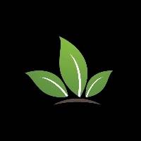 河南新叶文化传播有限公司