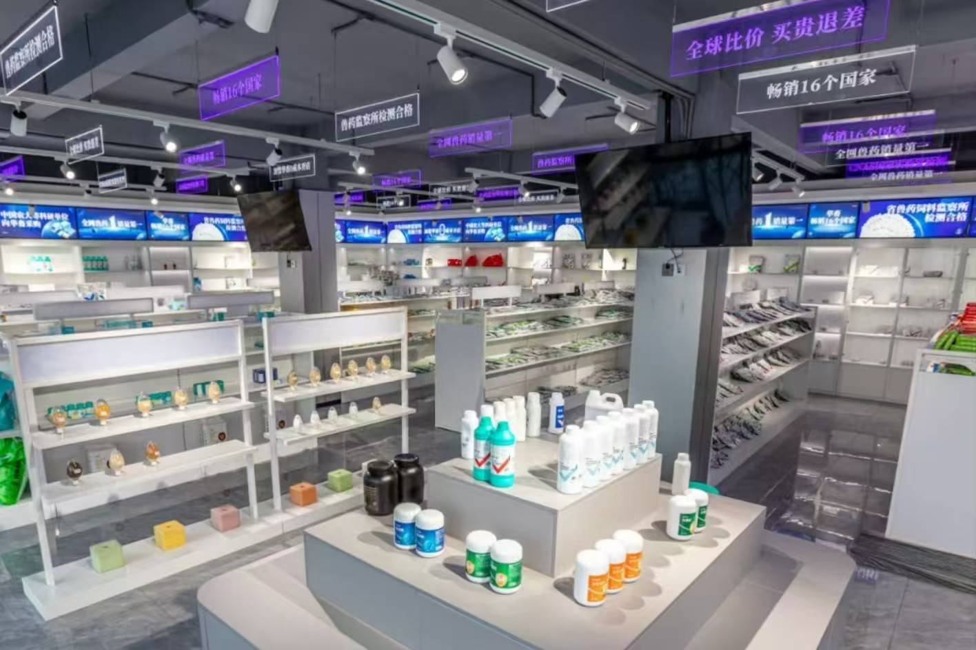 公司展示