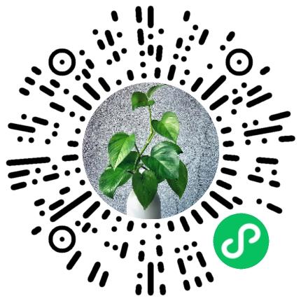 孟州市金服网络科技有限公司英语翻译扫码投递简历