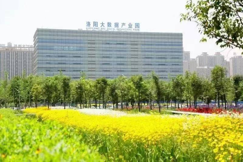 公司展示