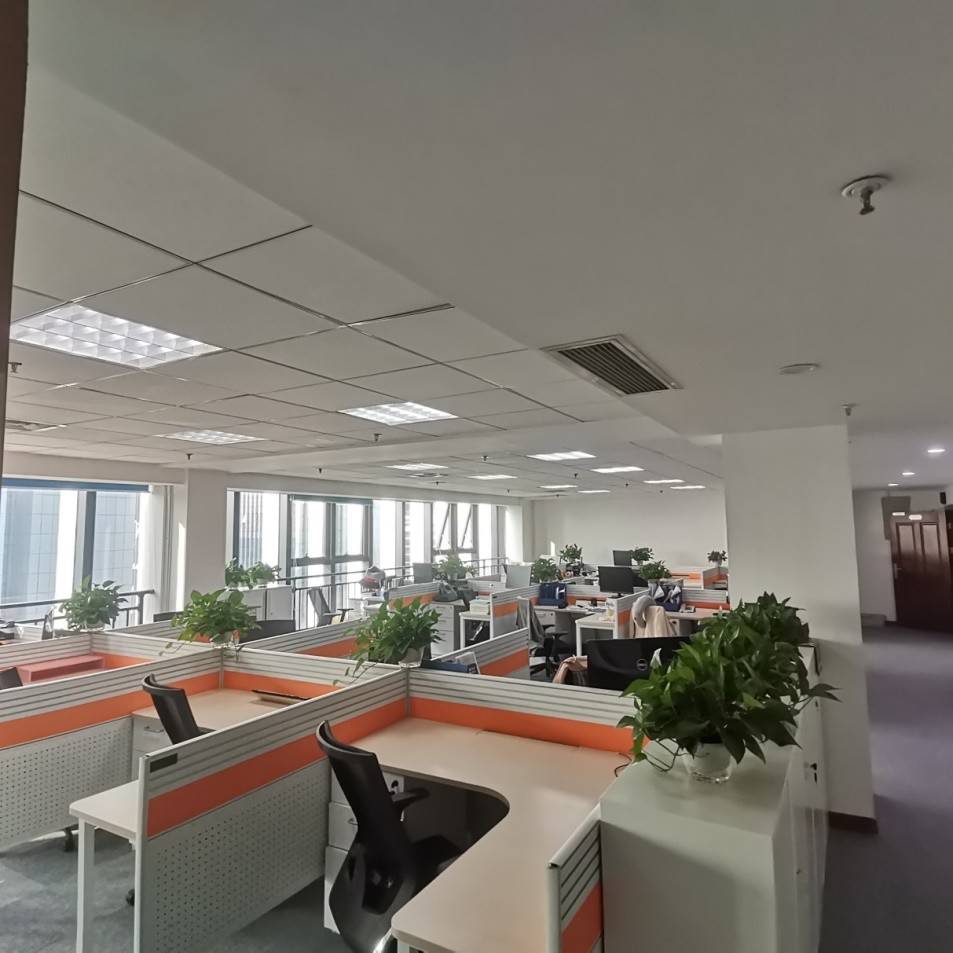 公司展示