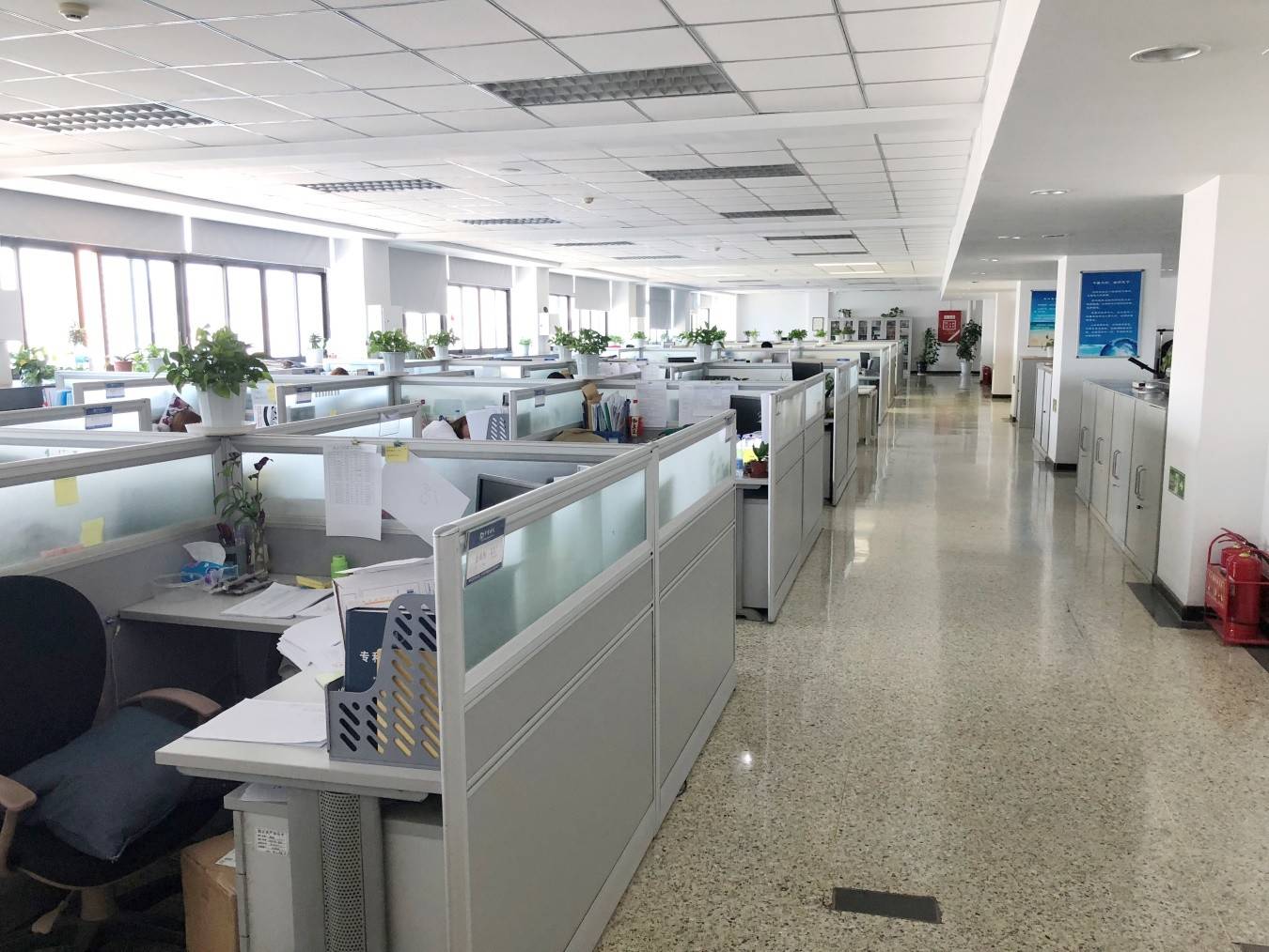 公司展示