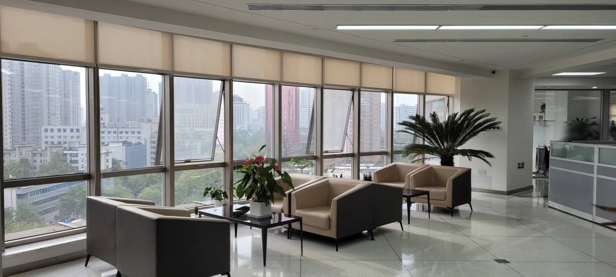 公司展示