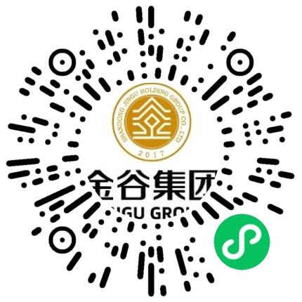 山东金谷控股集团有限公司矿产开发工程师扫码投递简历