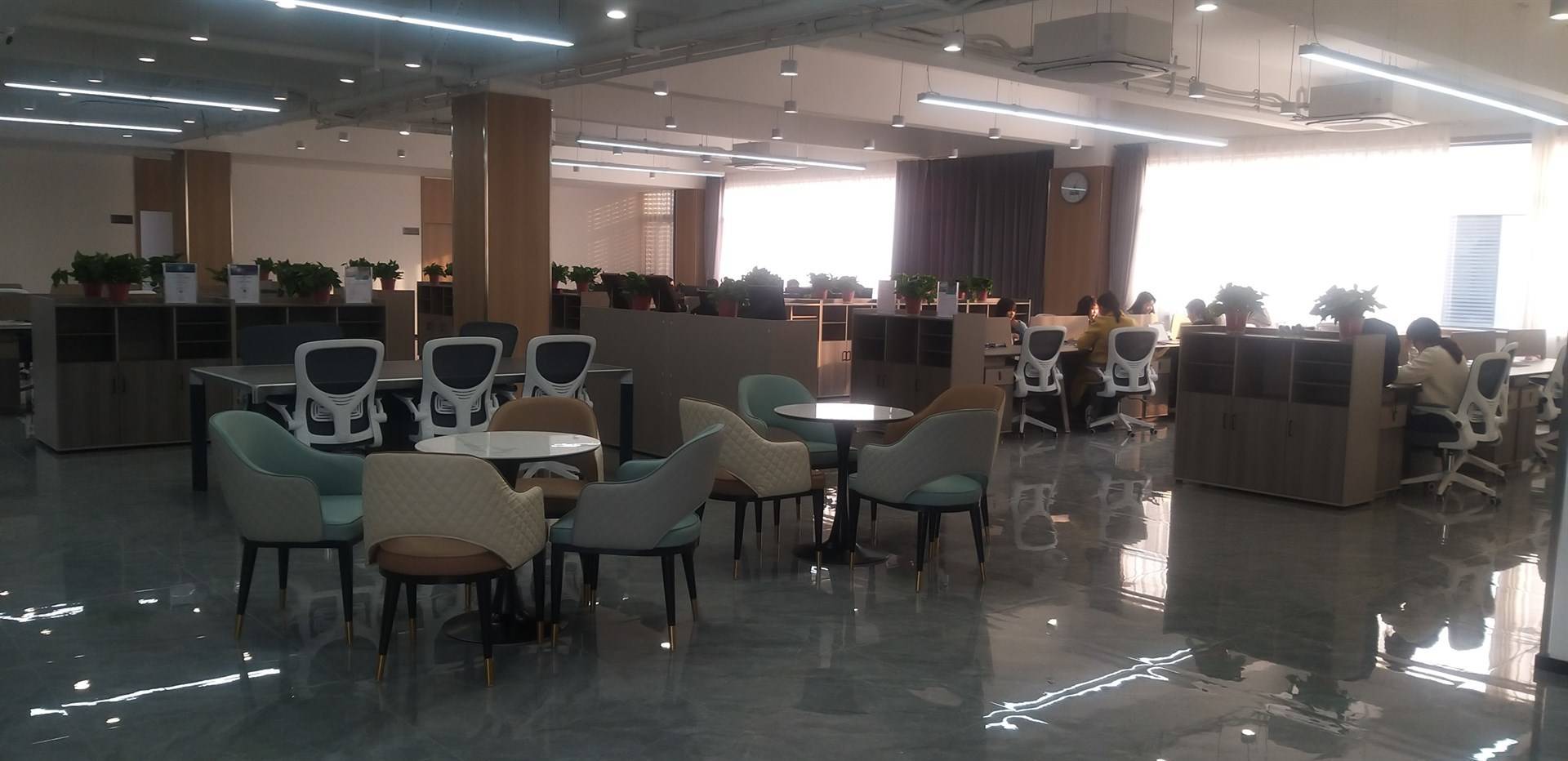 公司展示