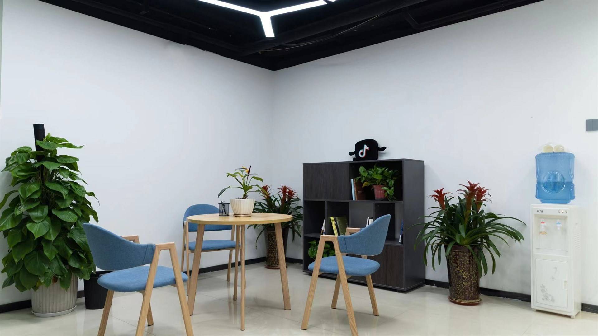 公司展示