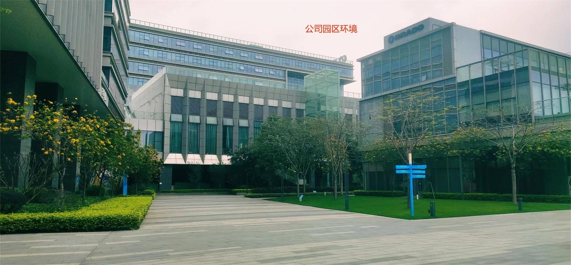 公司展示