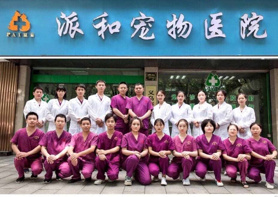 派和宠物医院的公司展示