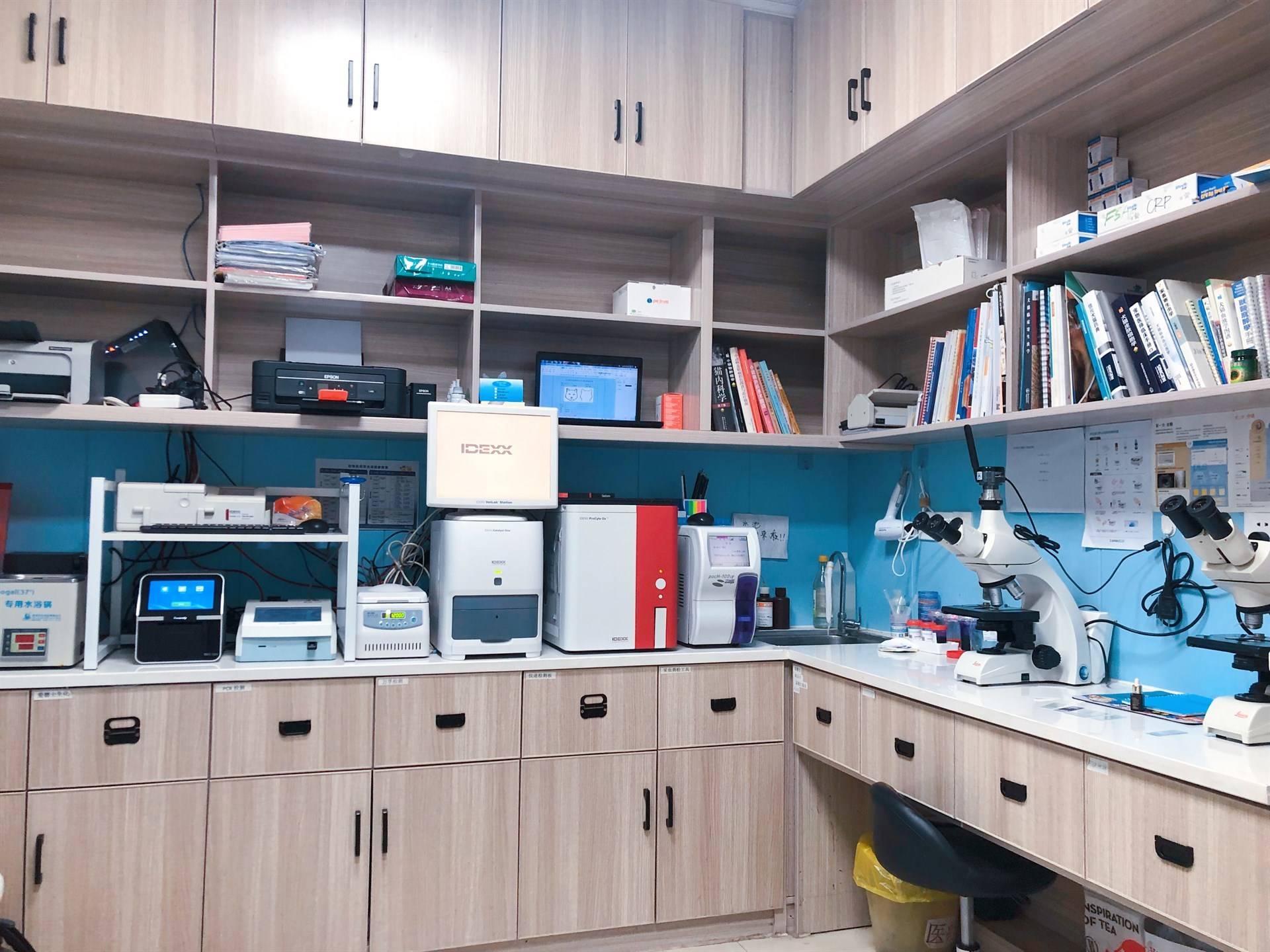 派和宠物医院的公司展示