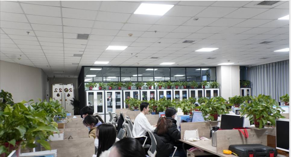 公司展示