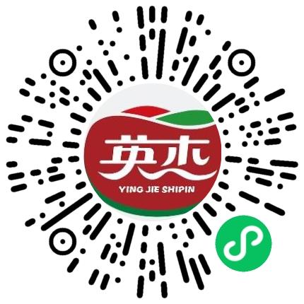 河南英杰食品有限公司销售数据分析扫码投递简历