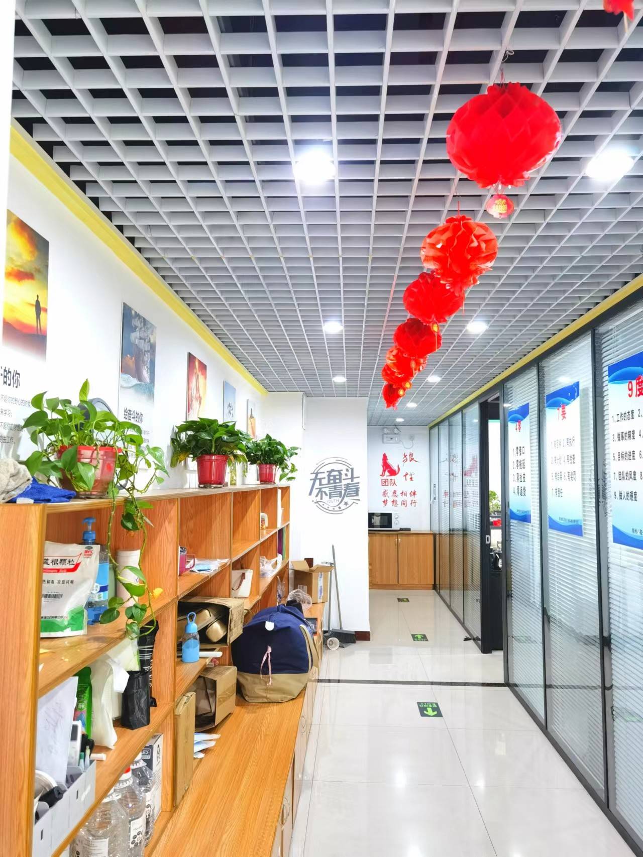 公司展示