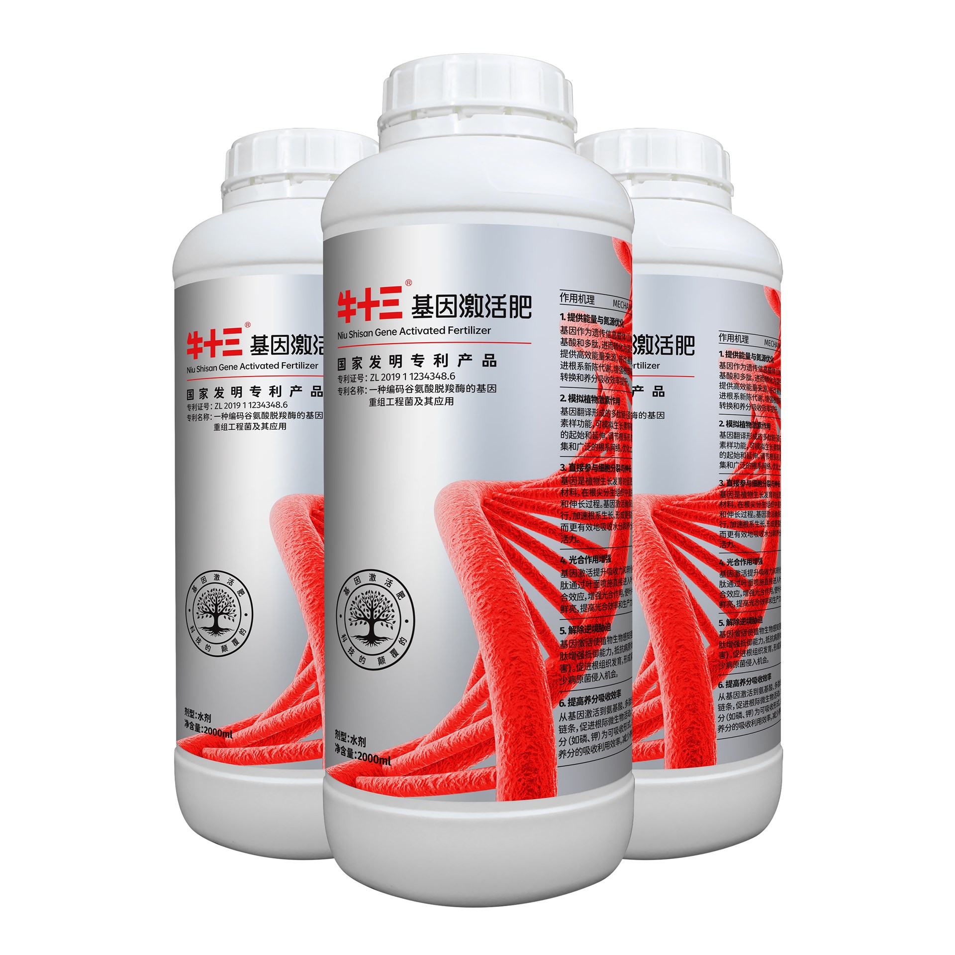 牛十三基因激活肥