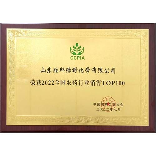 公司展示