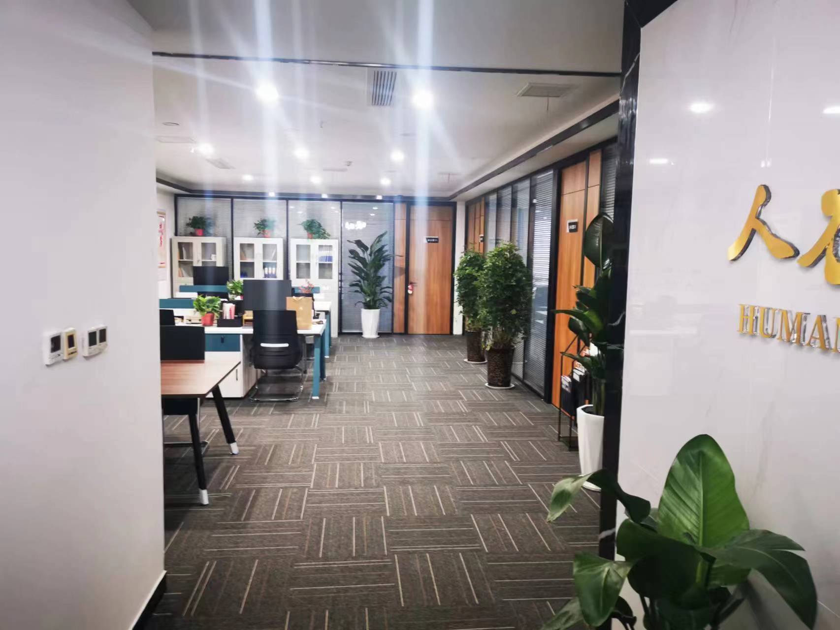 公司展示