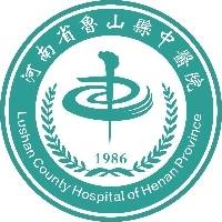 鲁山县中医院