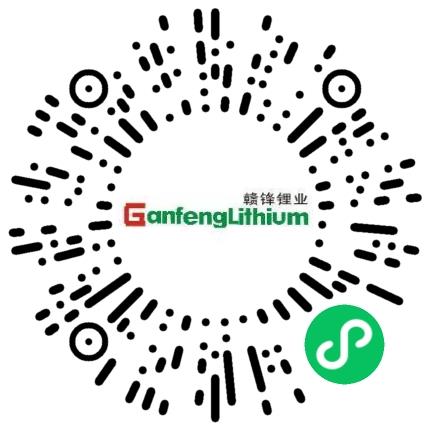 惠州赣锋锂电科技有限公司电子/电器维修工程师扫码投递简历