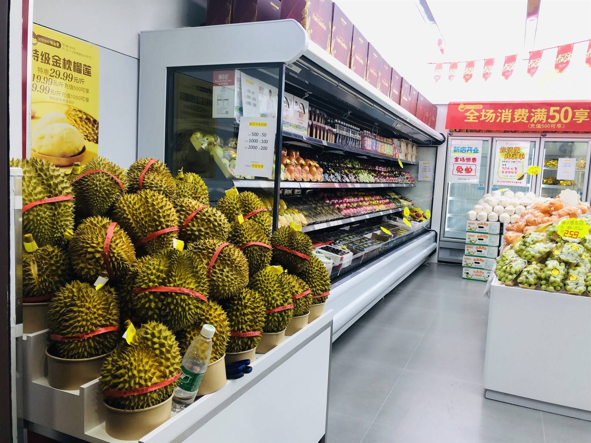 公司展示