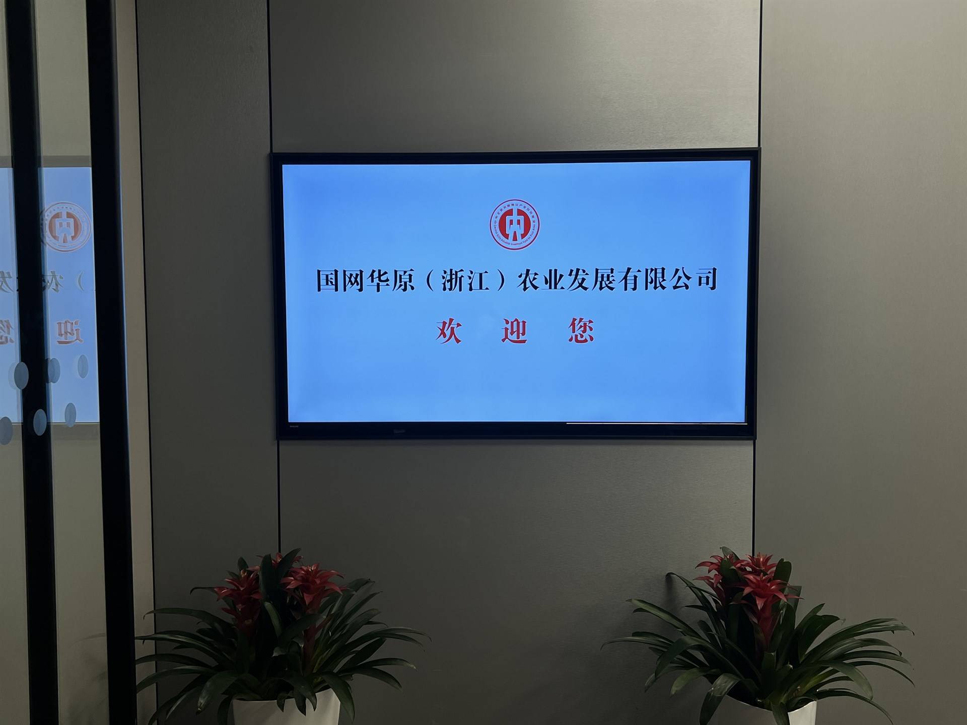 公司展示