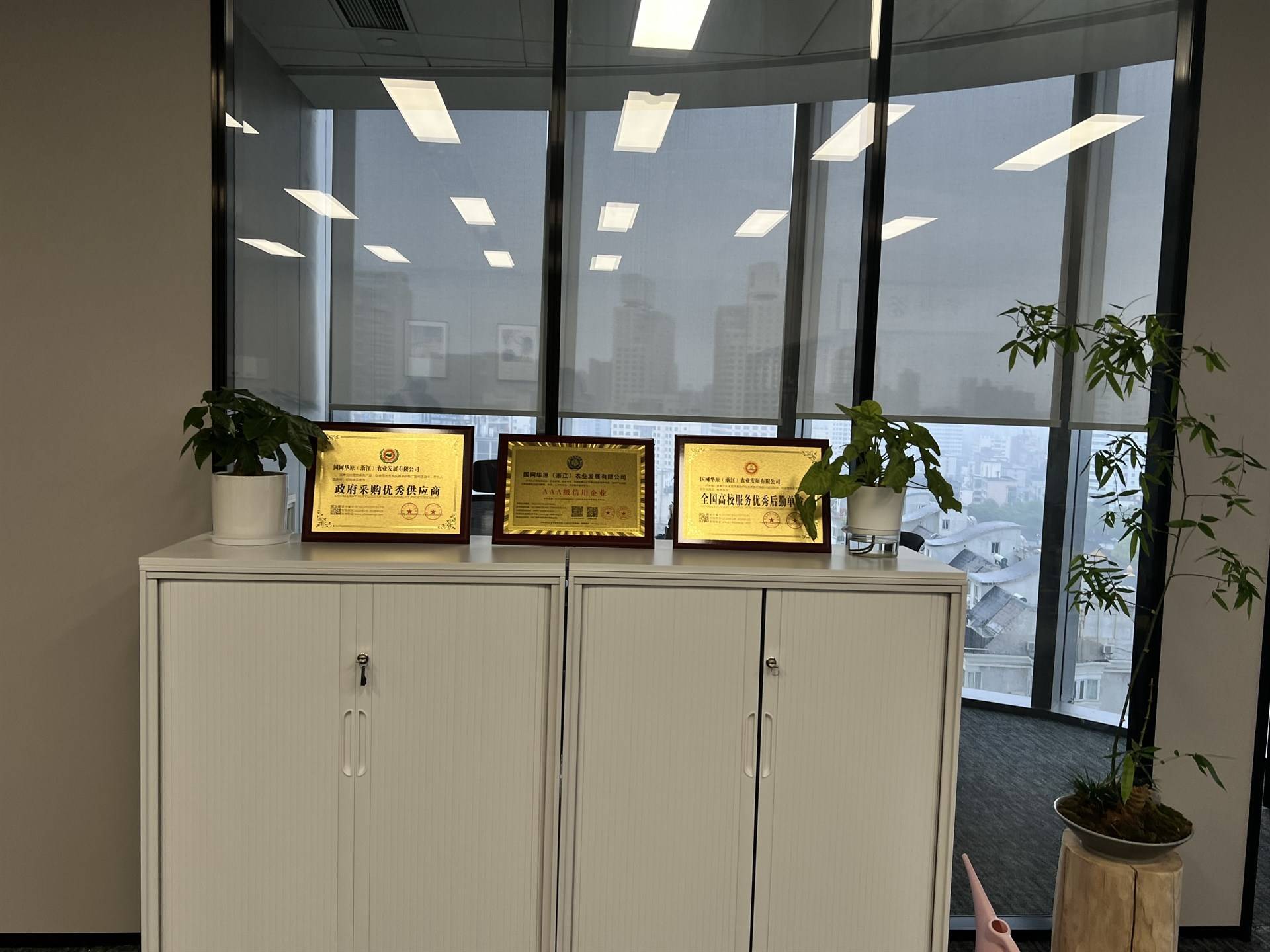 公司展示