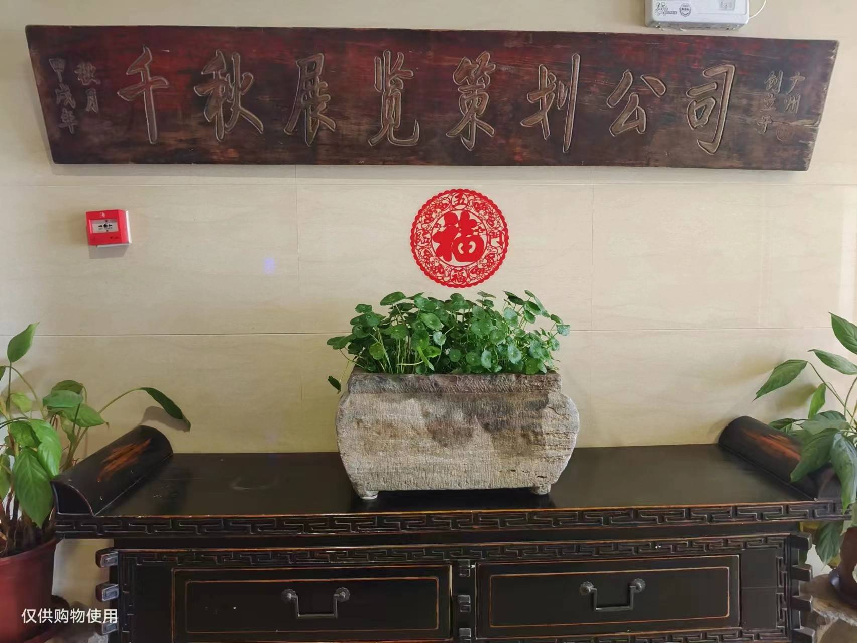 公司展示
