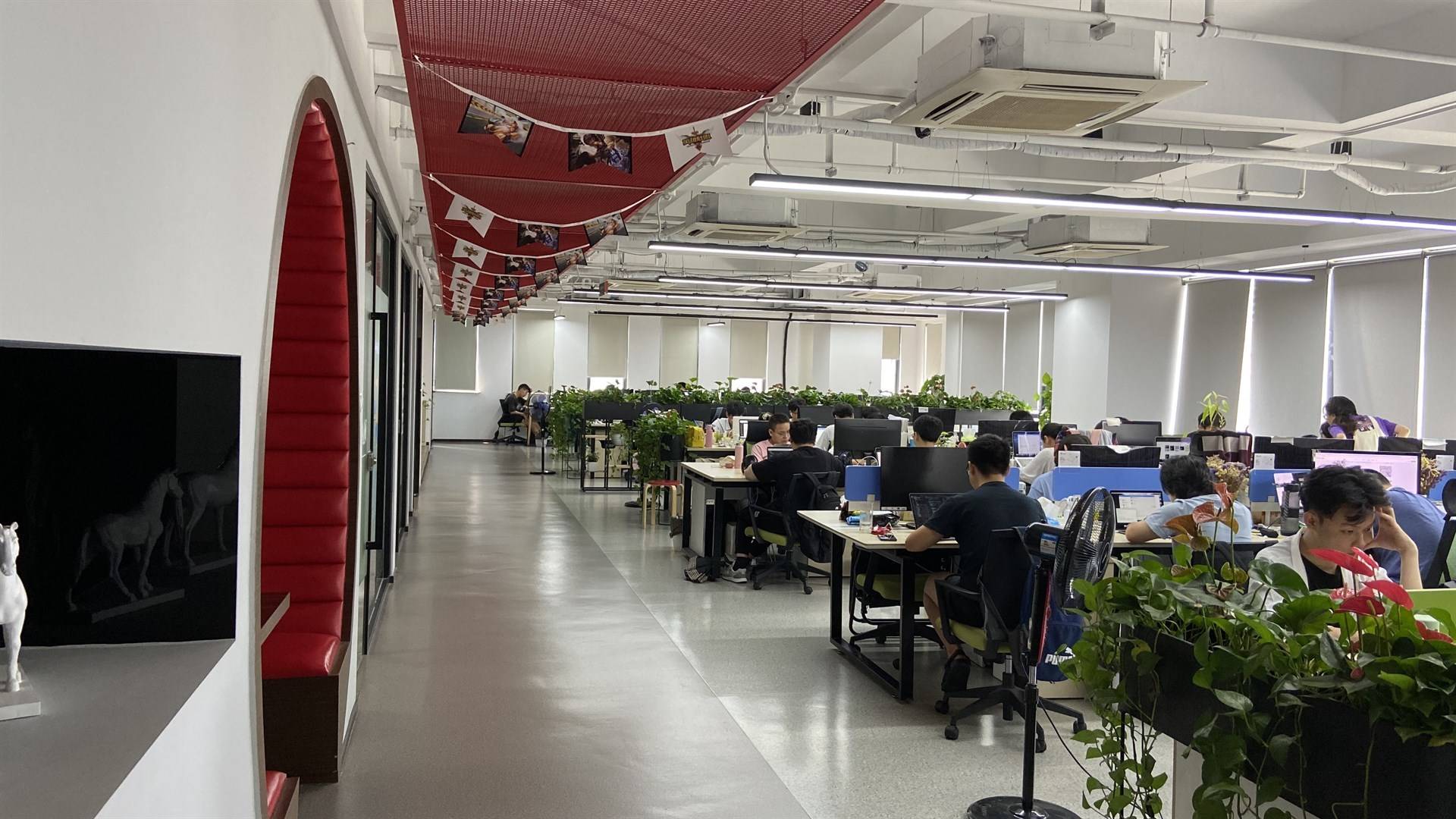 公司展示