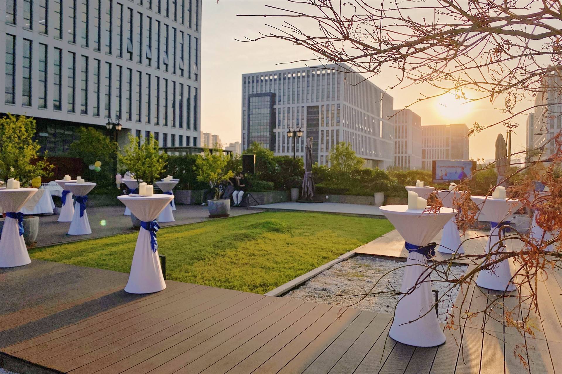 公司展示