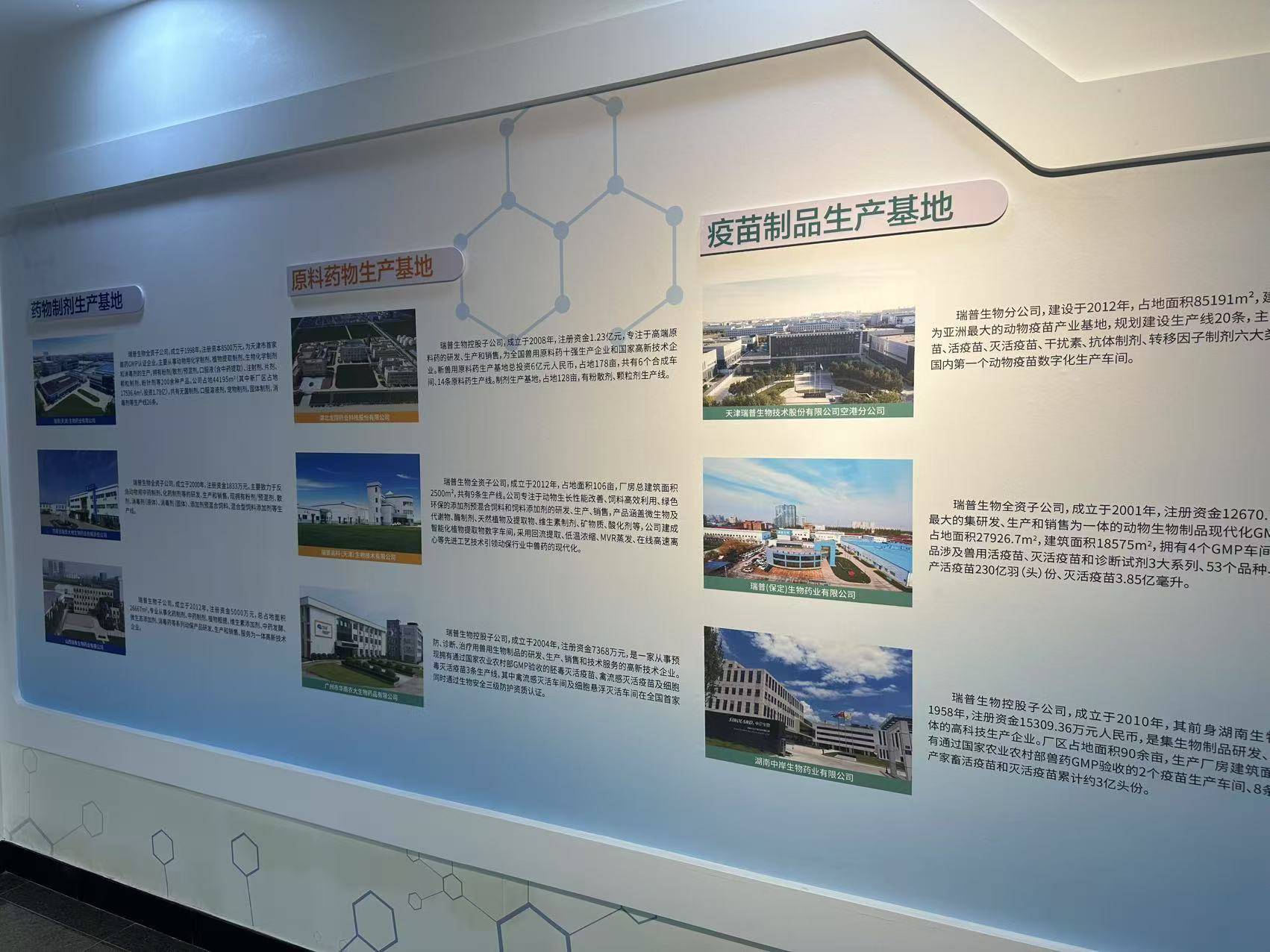 公司展示