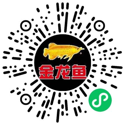 益海嘉里（开封）食品工业有限公司采购专员/助理扫码投递简历