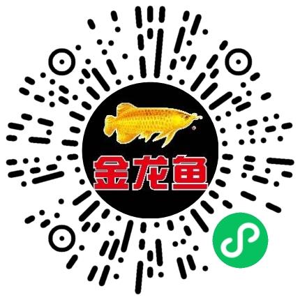 益海嘉里（开封）食品工业有限公司采购专员/助理扫码投递简历
