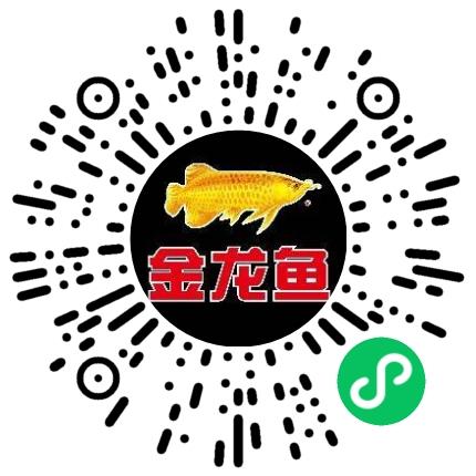 益海嘉里（开封）食品工业有限公司生产计划/调度员扫码投递简历
