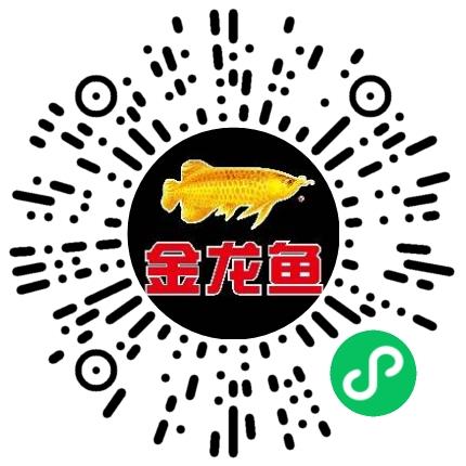 益海嘉里（开封）食品工业有限公司生产计划/调度员扫码投递简历