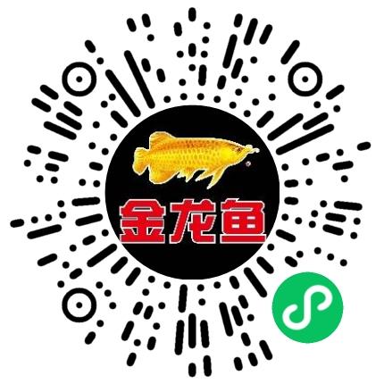 益海嘉里（开封）食品工业有限公司销售代表/业务员/销售助理扫码投递简历