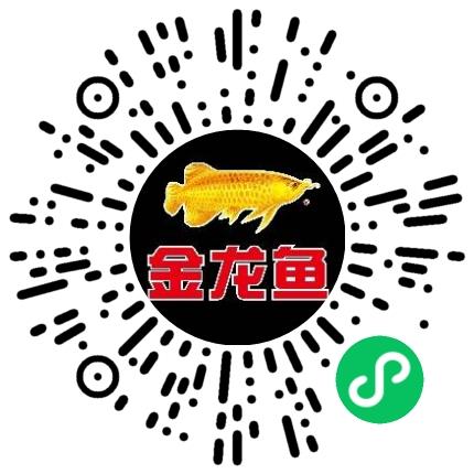 益海嘉里（开封）食品工业有限公司行政专员/助理扫码投递简历