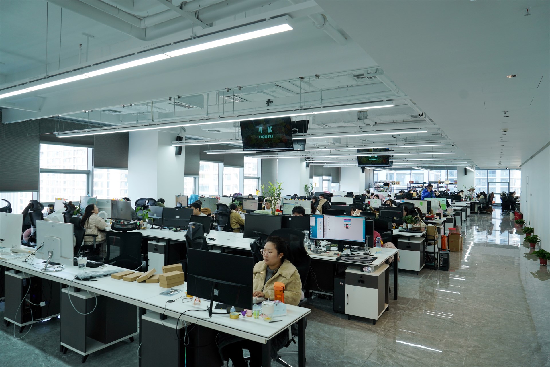 公司展示