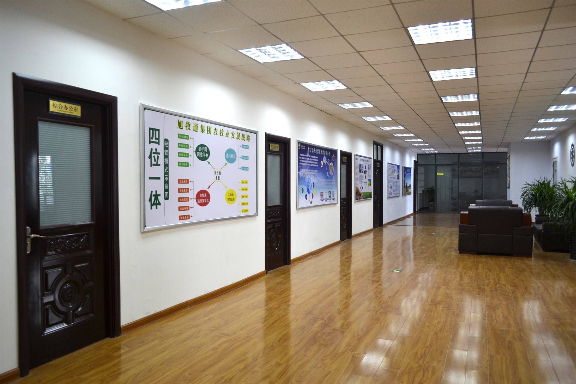 公司展示