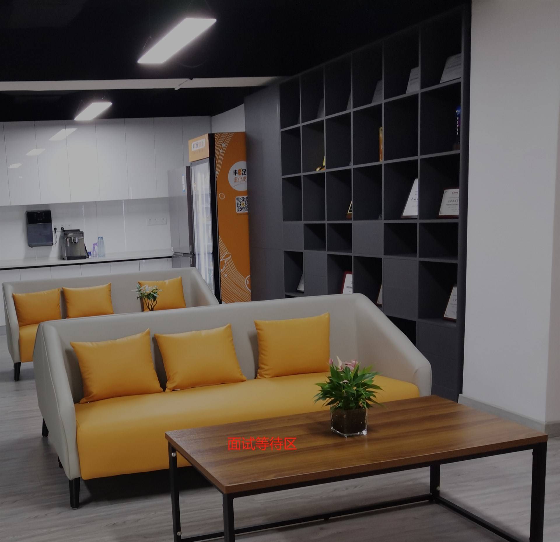 公司展示