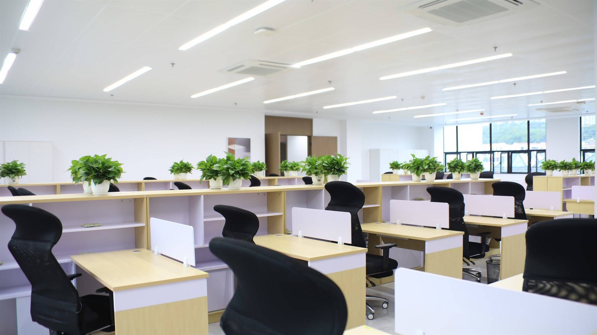 公司展示