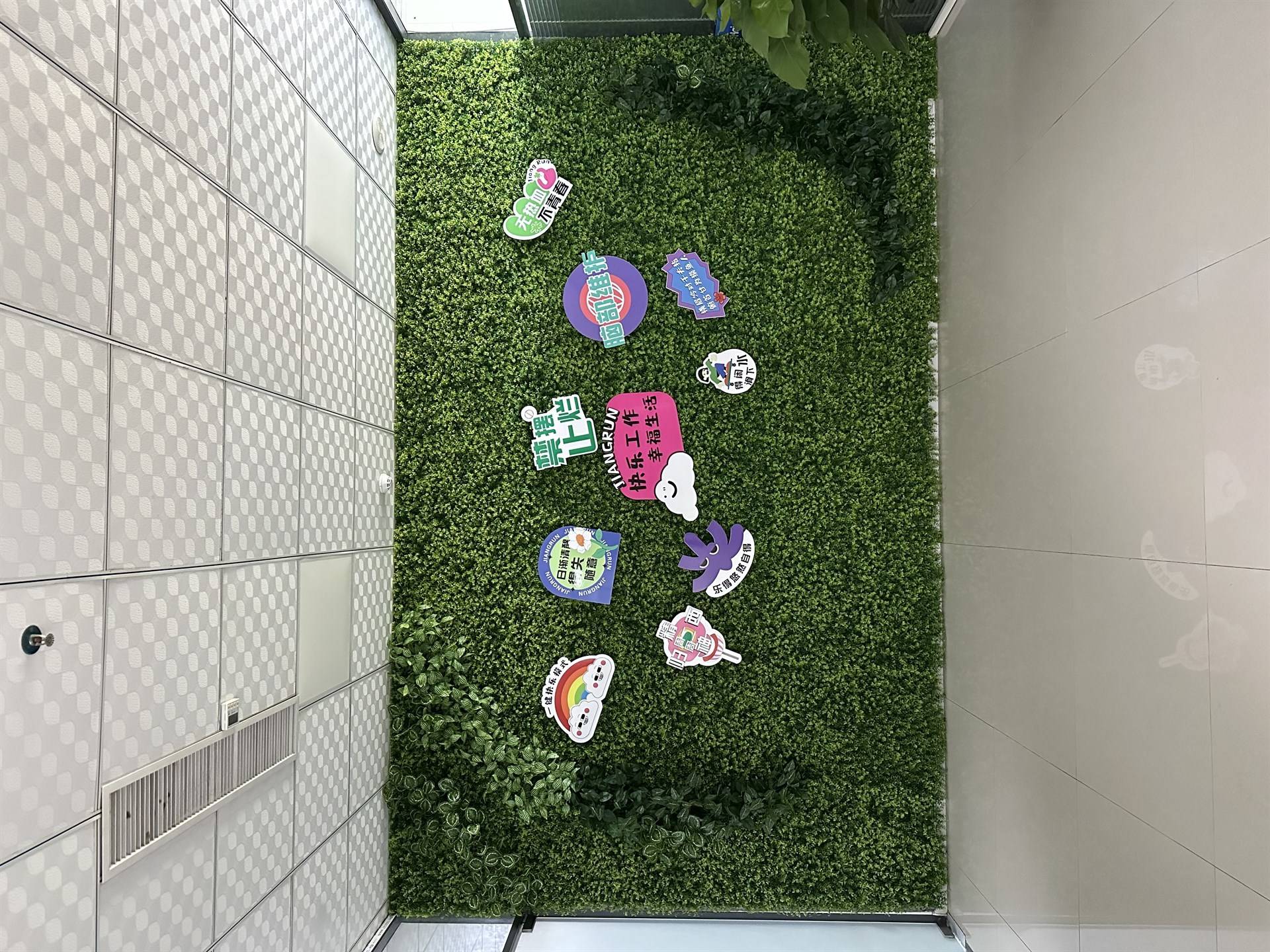 公司展示
