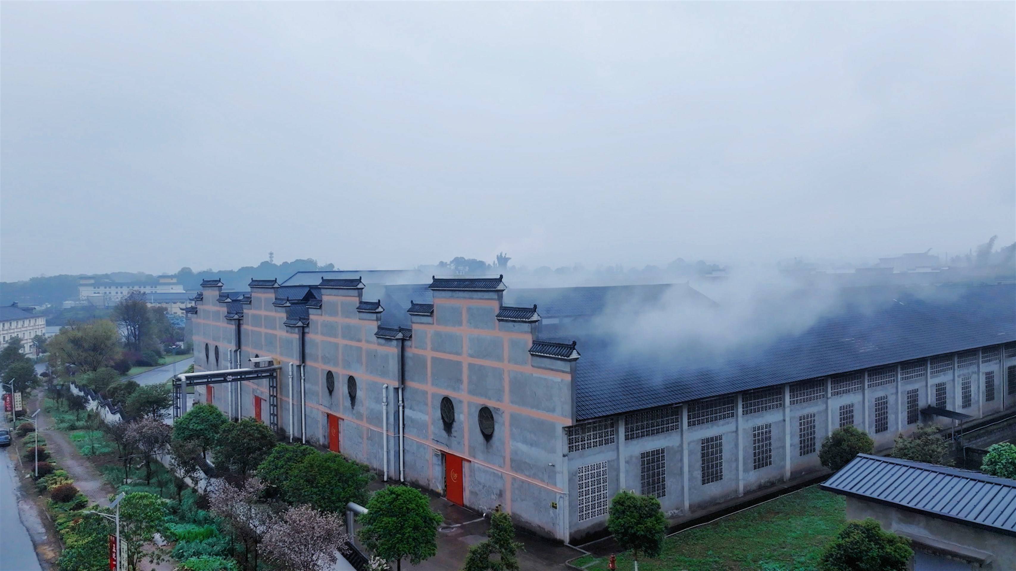 公司展示